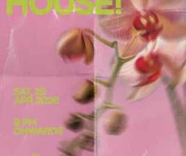 PUERO SENOPATI JAKARTA  FEELS LIKE HOUSE