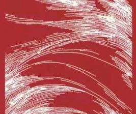 SHAMROCK GANDARIA JAKARTA  SATURDAY