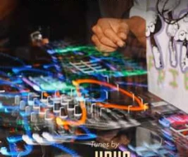 SALTY FISH BAR SCBD JAKARTA  RHYTHM SERVICE