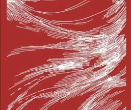 SHAMROCK GANDARIA JAKARTA  SATURDAY