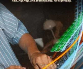 SALTY FISH BAR SCBD JAKARTA  RHYTHM SERVICE