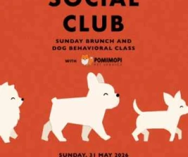 CORK & SCREW JAKARTA - PAWS SOCIAL CLUB